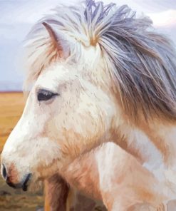 Close Up White Icelandic Horse Paint By Numbers