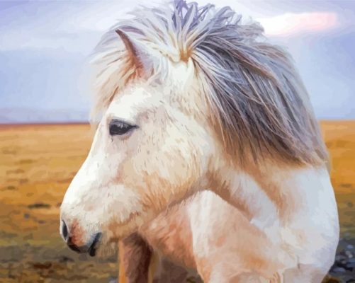 Close Up White Icelandic Horse Paint By Numbers