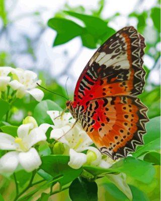 Colorful Butterfly On White Flowers Paint By Numbers