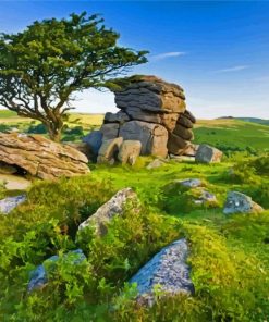 Dartmoor Paint By Numbers