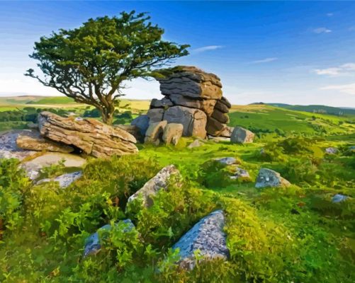 Dartmoor Paint By Numbers