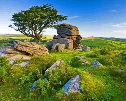 Dartmoor Paint By Numbers