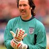 David Seaman Goalkeeper Paint By Numbers