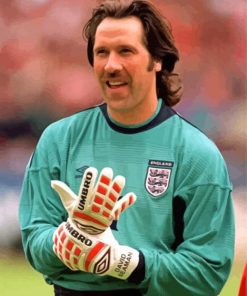 David Seaman Goalkeeper Paint By Numbers