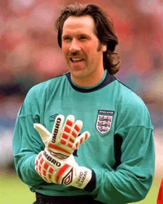 David Seaman Goalkeeper Paint By Numbers