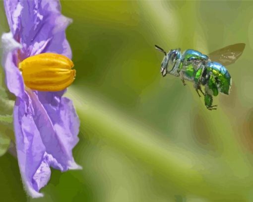 Euglossa Bazinga With Purple Flower Paint By Numbers