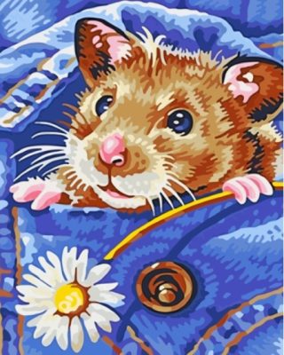 Hamster In Jean Pocket Paint By Numbers