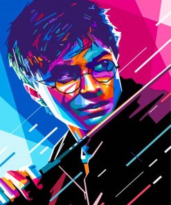 Harry Potter Pop Art Paint By Numbers