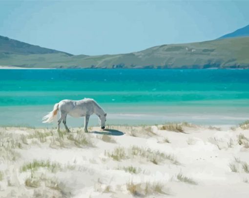 Horse In Luskintyre Beach Paint By Numbers