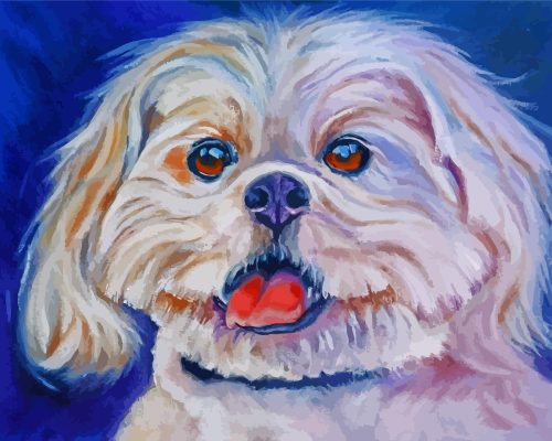 Lhasa Apso Dog Paint By Numbers