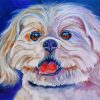 Lhasa Apso Dog Paint By Numbers