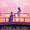 Love Is Blind Japan Poster Paint By Numbers