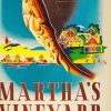 Marthas Vineyard Poster Paint By Numbers