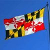 Maryland Flag Flying Paint By Numbers