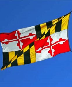 Maryland Flag Flying Paint By Numbers