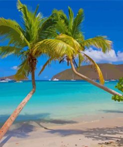 Palm Trees In Saint Thomas Beach Paint By Numbers