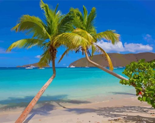 Palm Trees In Saint Thomas Beach Paint By Numbers