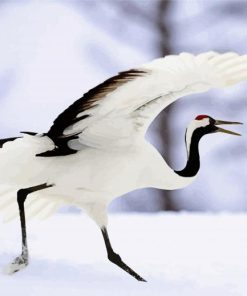 Red Crowned Crane Japanese Bird Paint By Numbers