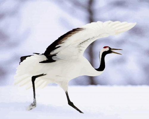 Red Crowned Crane Japanese Bird Paint By Numbers