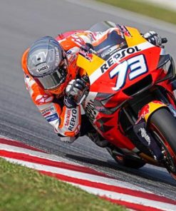 Repsol Honda Motorcycle Driver Paint By Numbers