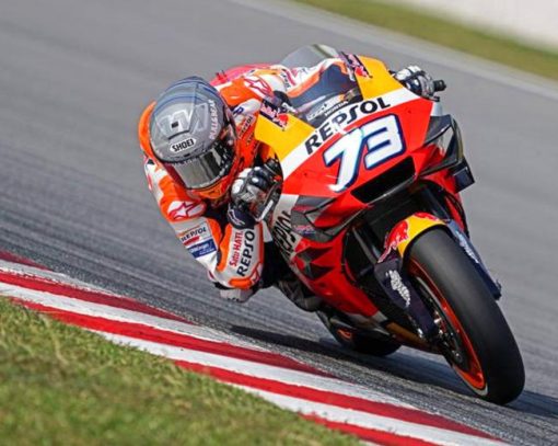 Repsol Honda Motorcycle Driver Paint By Numbers