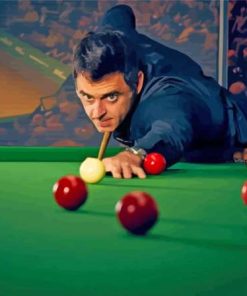 Ronnie Osullivan Paint By Numbers