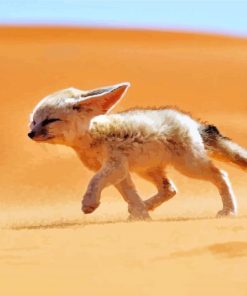 Sandfox In Desert Paint By Numbers