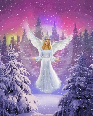 Snow Angel Girl Paint By Numbers