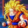 Super Saiyan 3 Dragon Ball Z Paint By Numbers