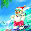 Surfing Santa Snowman Paint By Numbers