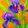 The Bearded Iris Plant Paint By Numbers