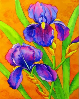 The Bearded Iris Plant Paint By Numbers