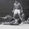 The Boxer Cassius Clay Vs Sonny Liston Paint By Numbers