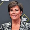 The Business Woman Kris Jenner Paint By Numbers