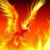 The Fire Bird Paint By Numbers