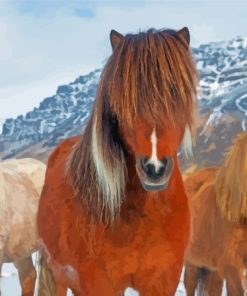 The Icelandic Ponies Paint By Numbers