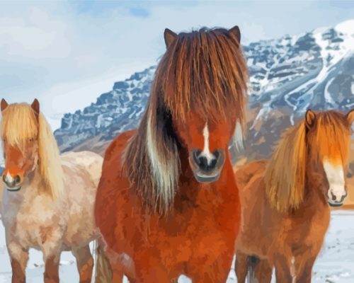 The Icelandic Ponies Paint By Numbers