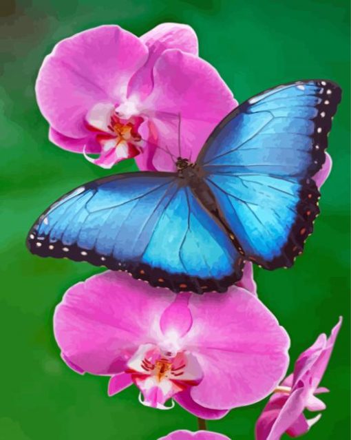 The Pink Orchid And Butterfly Paint By Numbers