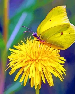 The Yellow Dandelion Butterfly Paint By Numbers