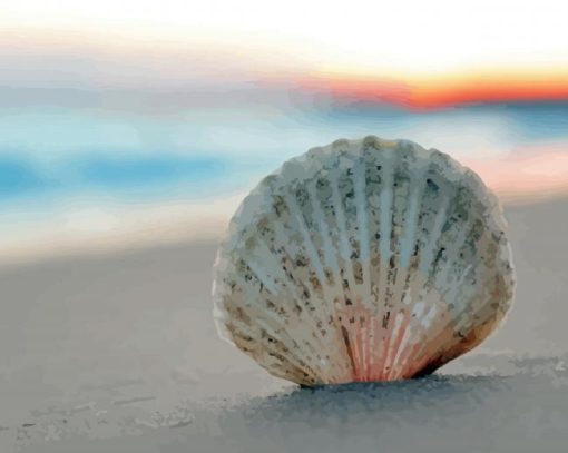 White Sea Shell On Beach Paint By Numbers