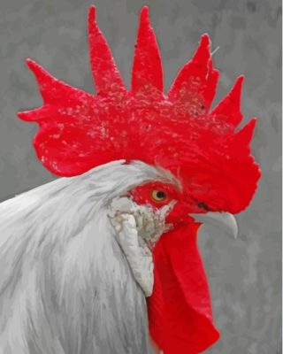 White Big Rooster Head Paint By Numbers