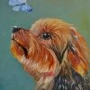 Abstract Yorkshire Terrier With Butterfly Paint By Numbers