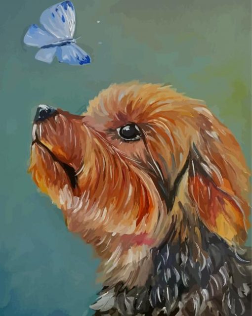 Abstract Yorkshire Terrier With Butterfly Paint By Numbers