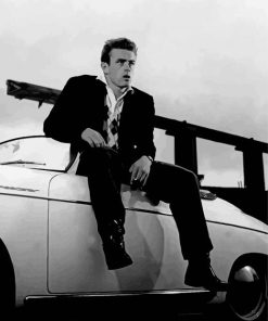 Actor James Dean In A Car Paint By Numbers