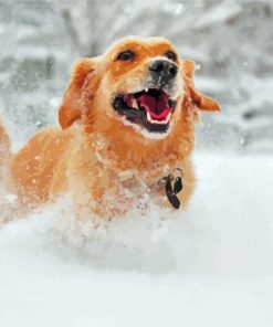 Aesthetic Dog In Snow Paint By Numbers