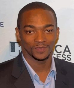 Anthony Mackie Paint By Numbers