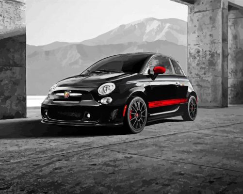 Black Fiat Abarth Paint By Numbers