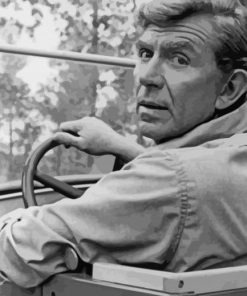 Black And White Andy Griffith Paint By Numbers