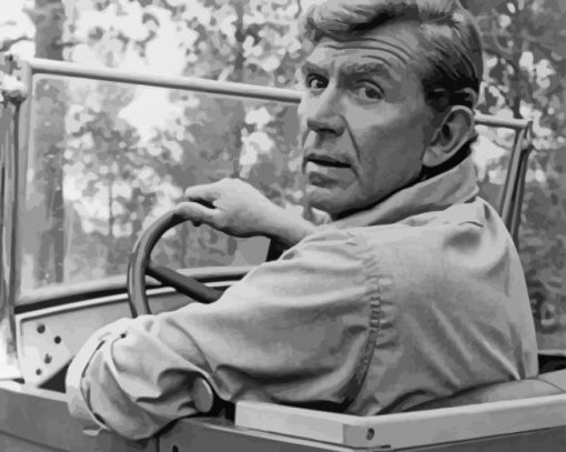 Black And White Andy Griffith Paint By Numbers