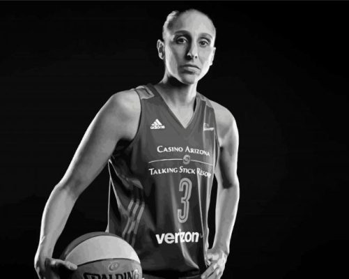 Black And White Diana Taurasi Paint By Numbers